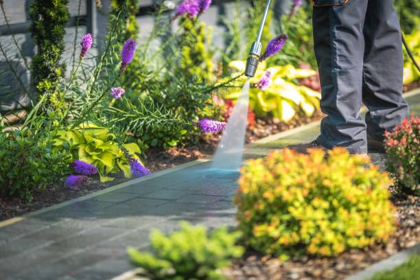 Best Spring Cleaning  in Spring Valley, AZ
